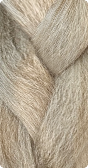 BT.Ash Blonde