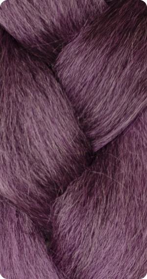 M.PurpleFantasy