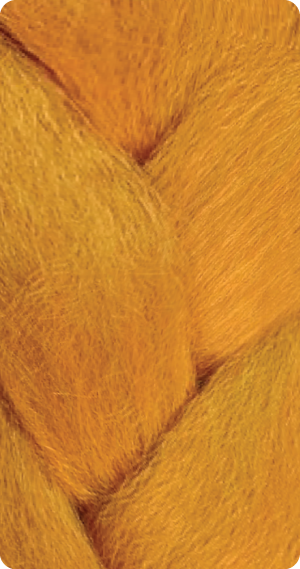 Ginger
