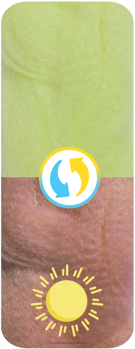 Lime Delight