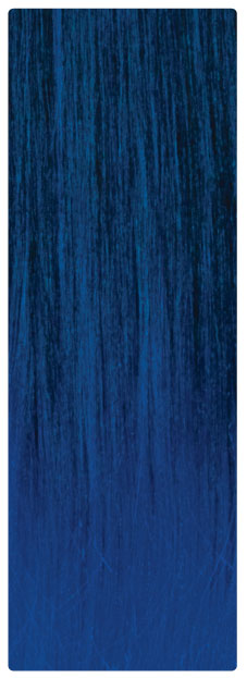 T1B/Blue
