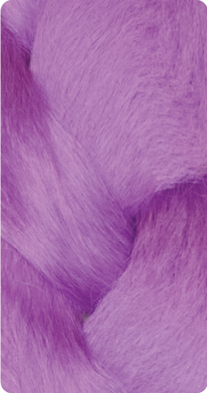 Orchid Purple