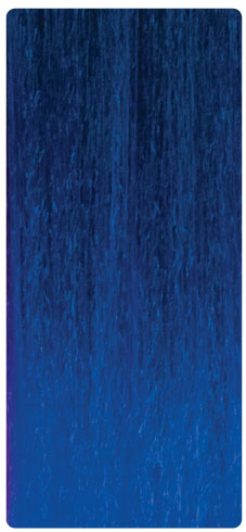 T1B/Blue