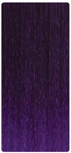T1B/Purple