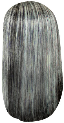 HL1B/Gray