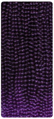 T1B/Purple