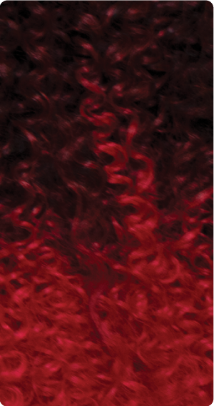 T1B/Red
